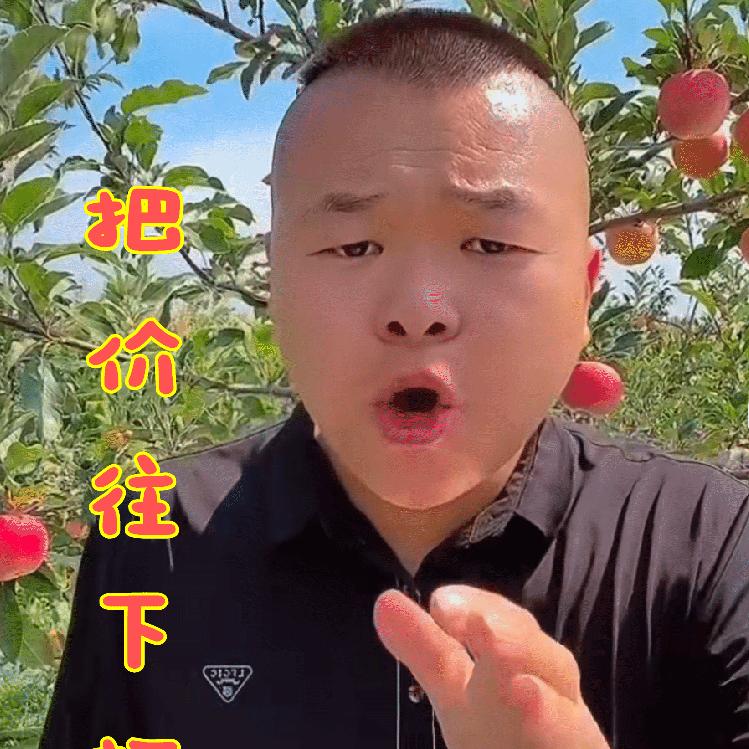 鑫娃来了