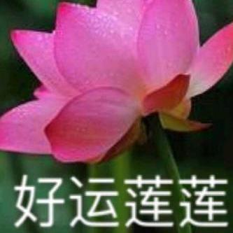 言午开