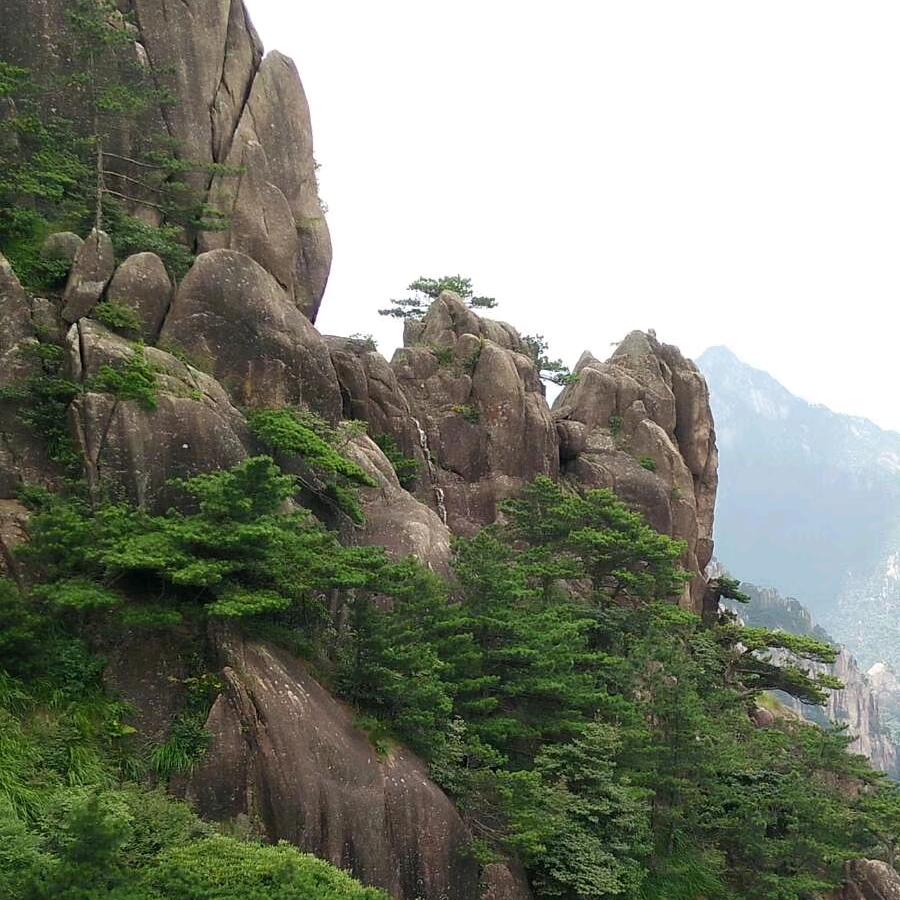清风徐来w