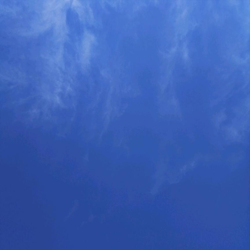 逍遥自在