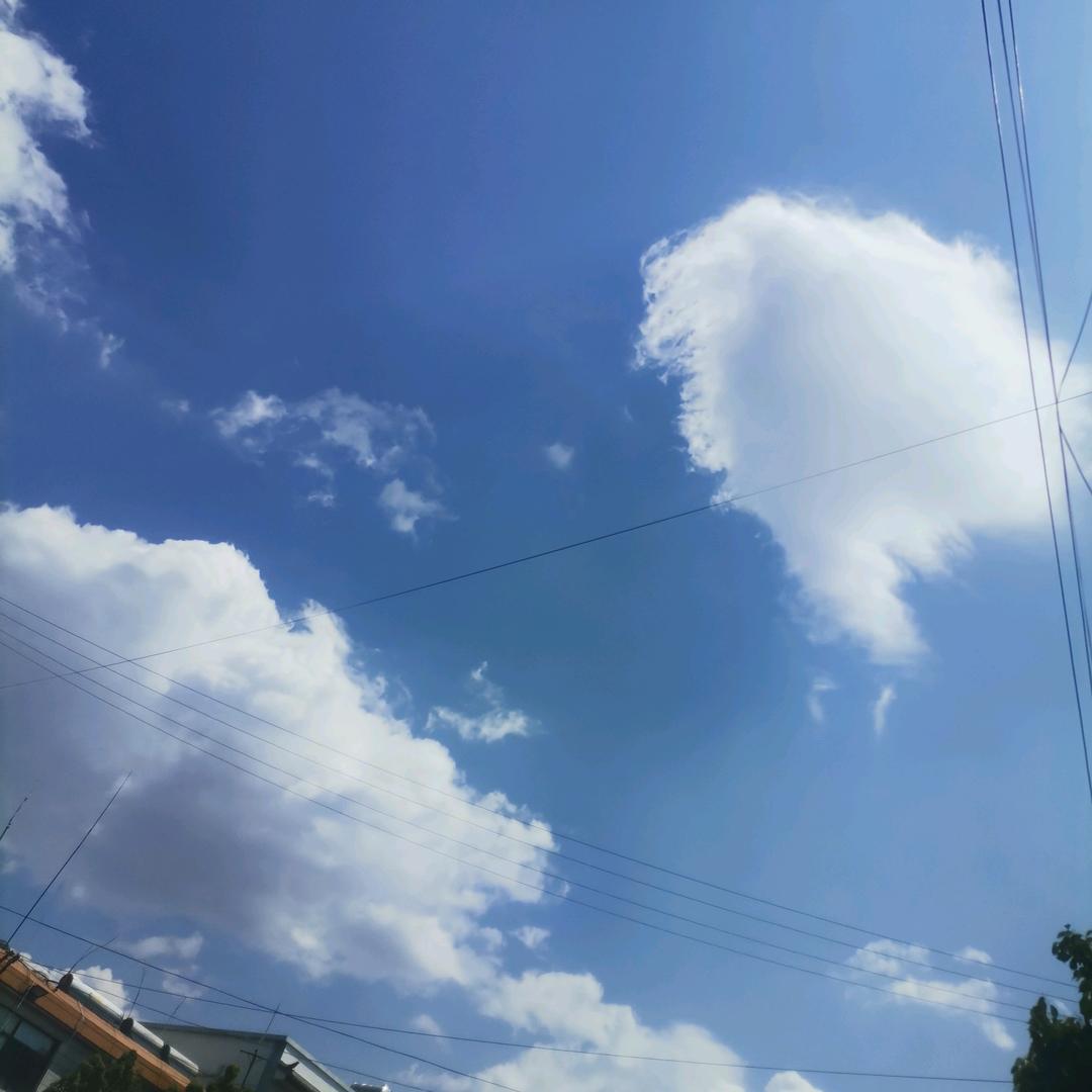 晴空万里展翅翱翔