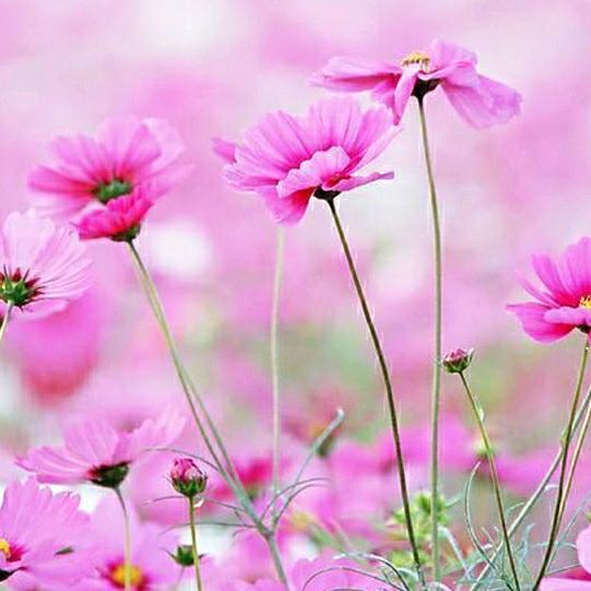 ༺❀ൢ誡ꦿ ོꦿ࿐吥ζั͡ޓ鋽℘涙✨ོꦿ