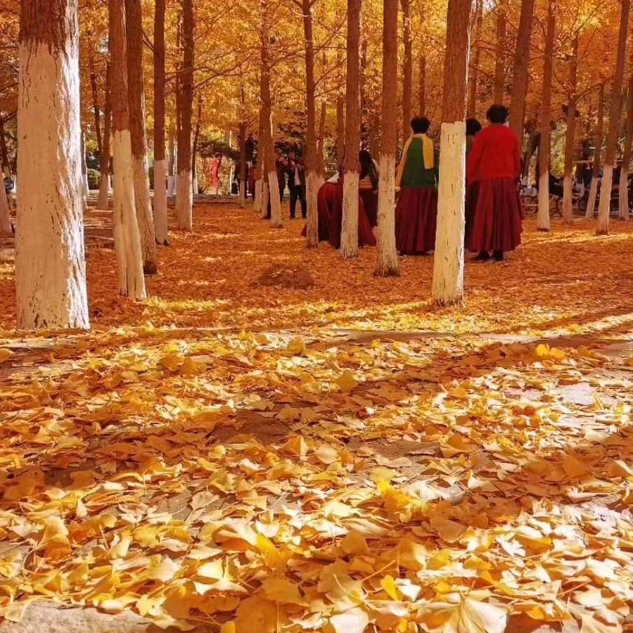 鸿运当头
