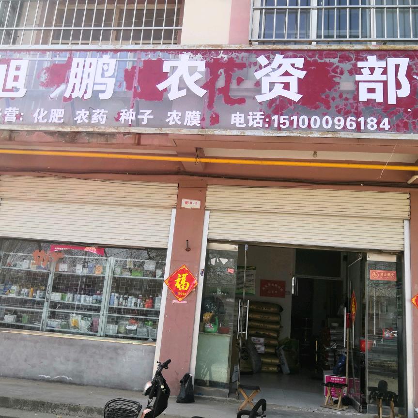 俊红