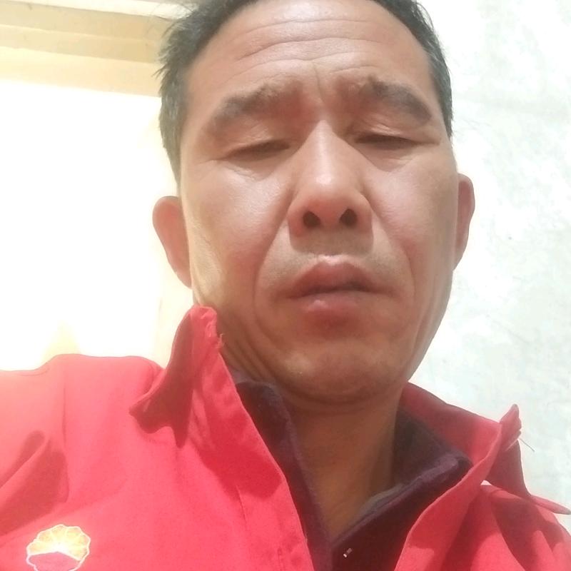 品茶看人生