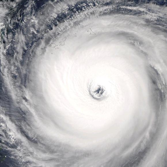 反方向的钟（王者）