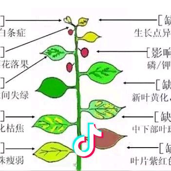 农之友