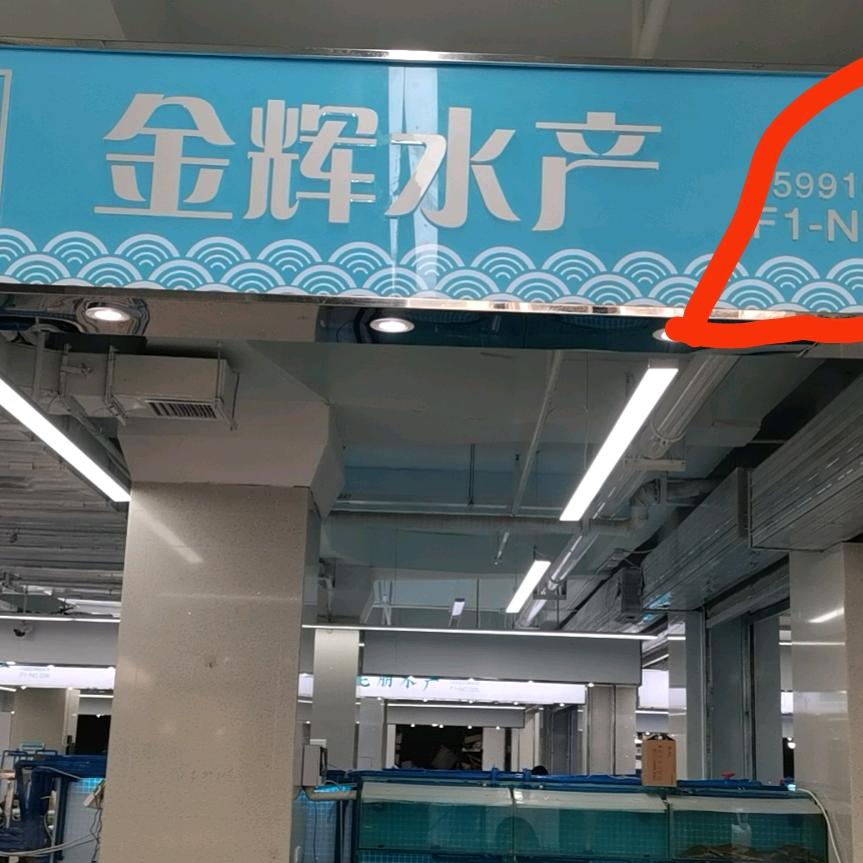 金辉水产25991629600