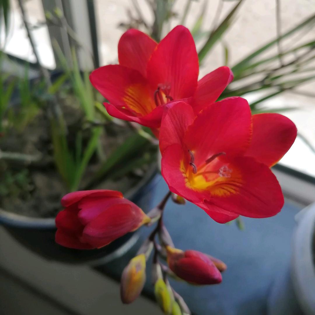 面潮大海，春暖花开