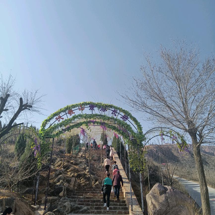 顺其自然👆