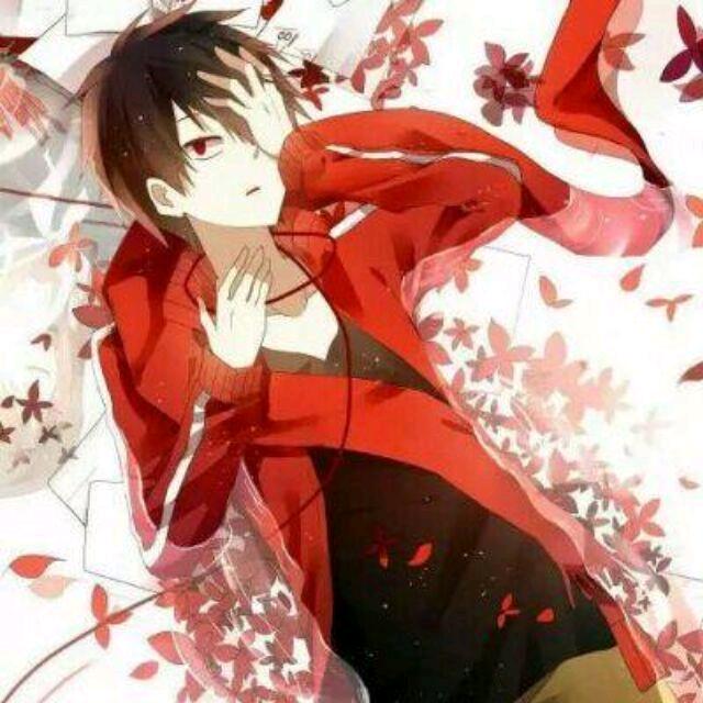 🌈鲨鱼爍爍🌈