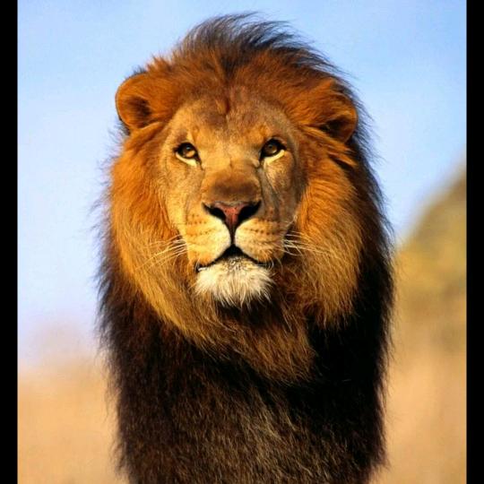 韩娇《拒绝私聊》