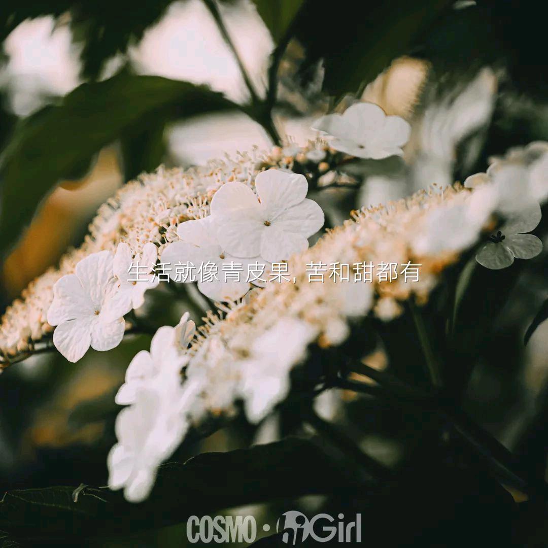 🍂纷纷