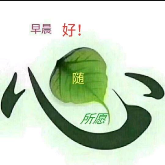 忘记过去从❤开始