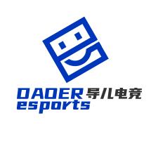 导儿电竞网络科技工作室