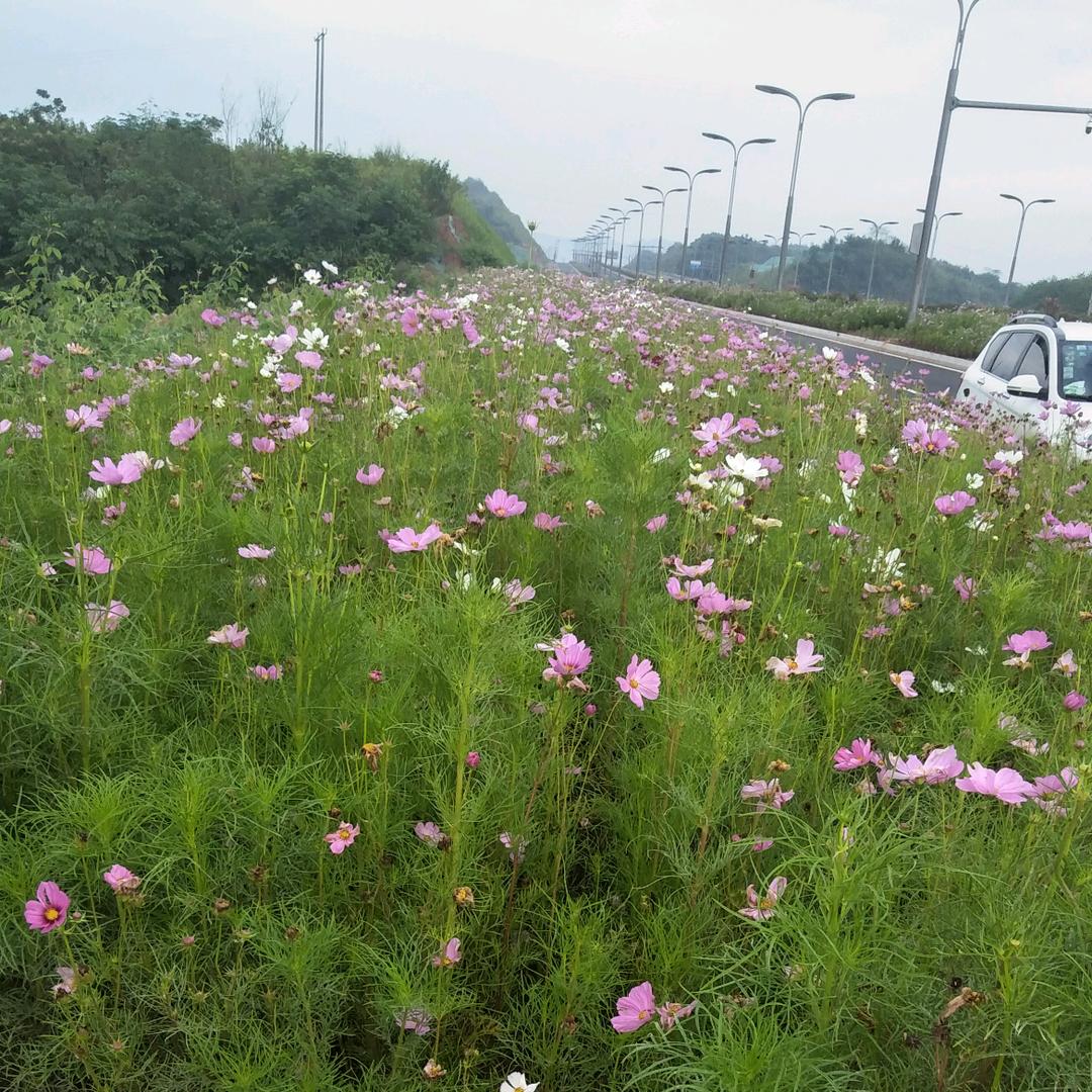 用户3815564836329
