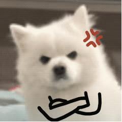 苦呱