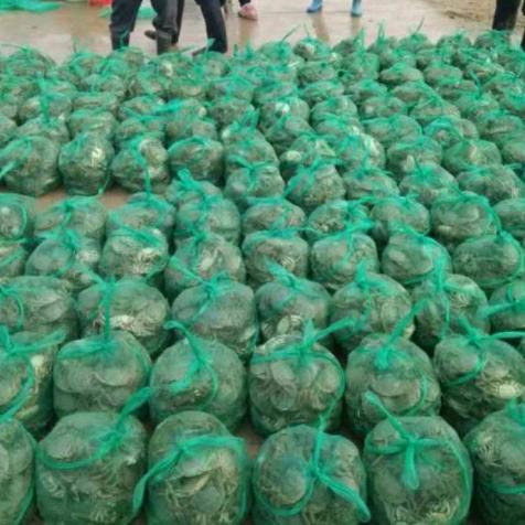 三鑫水产__刘一逼