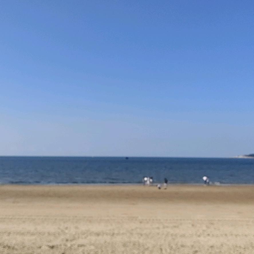 奋不顾身De东东