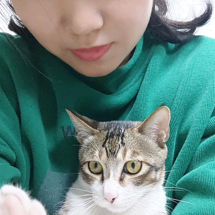 真真（伟易鑫风机）