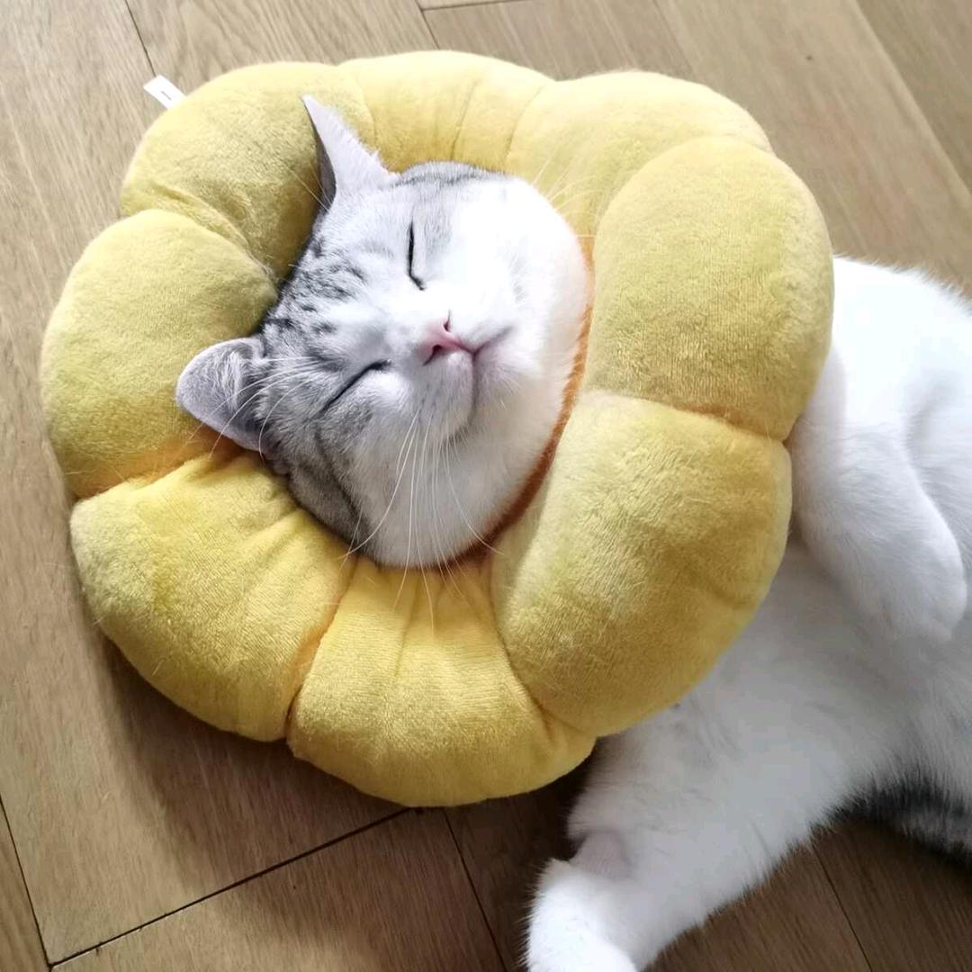 鸥文酒店式公寓