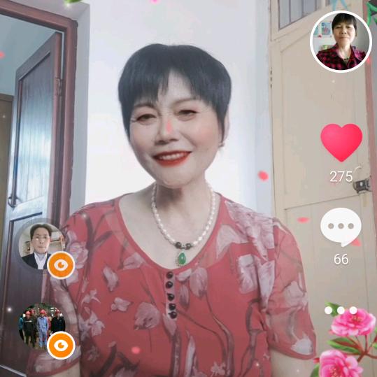 金菊（拒绝私聊）