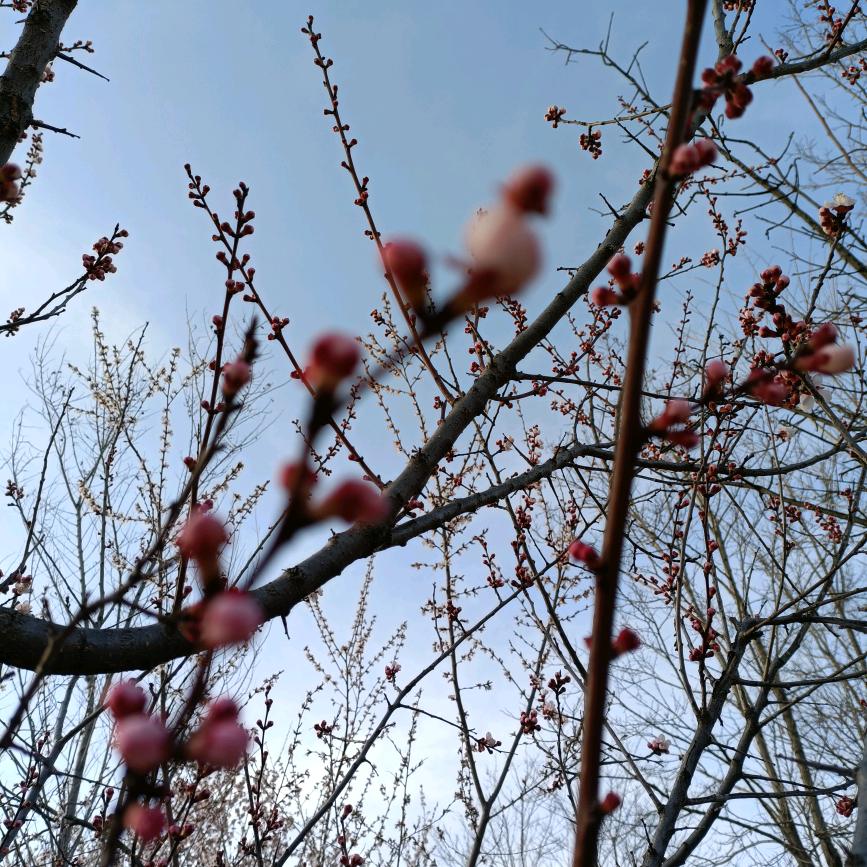 点点