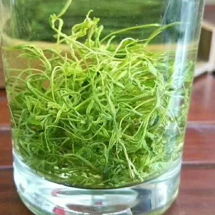 高山绿茶 邓荣