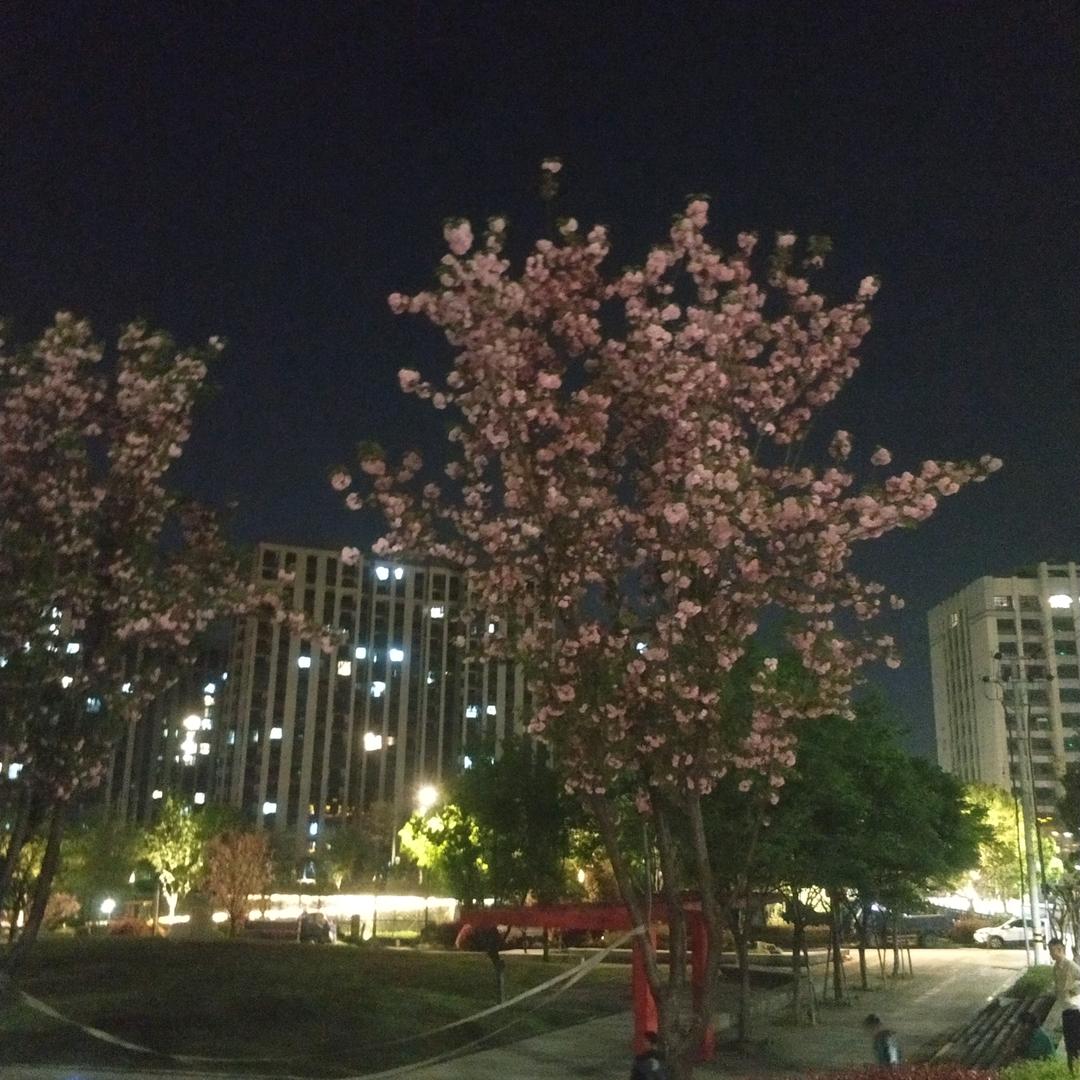 钱是金生