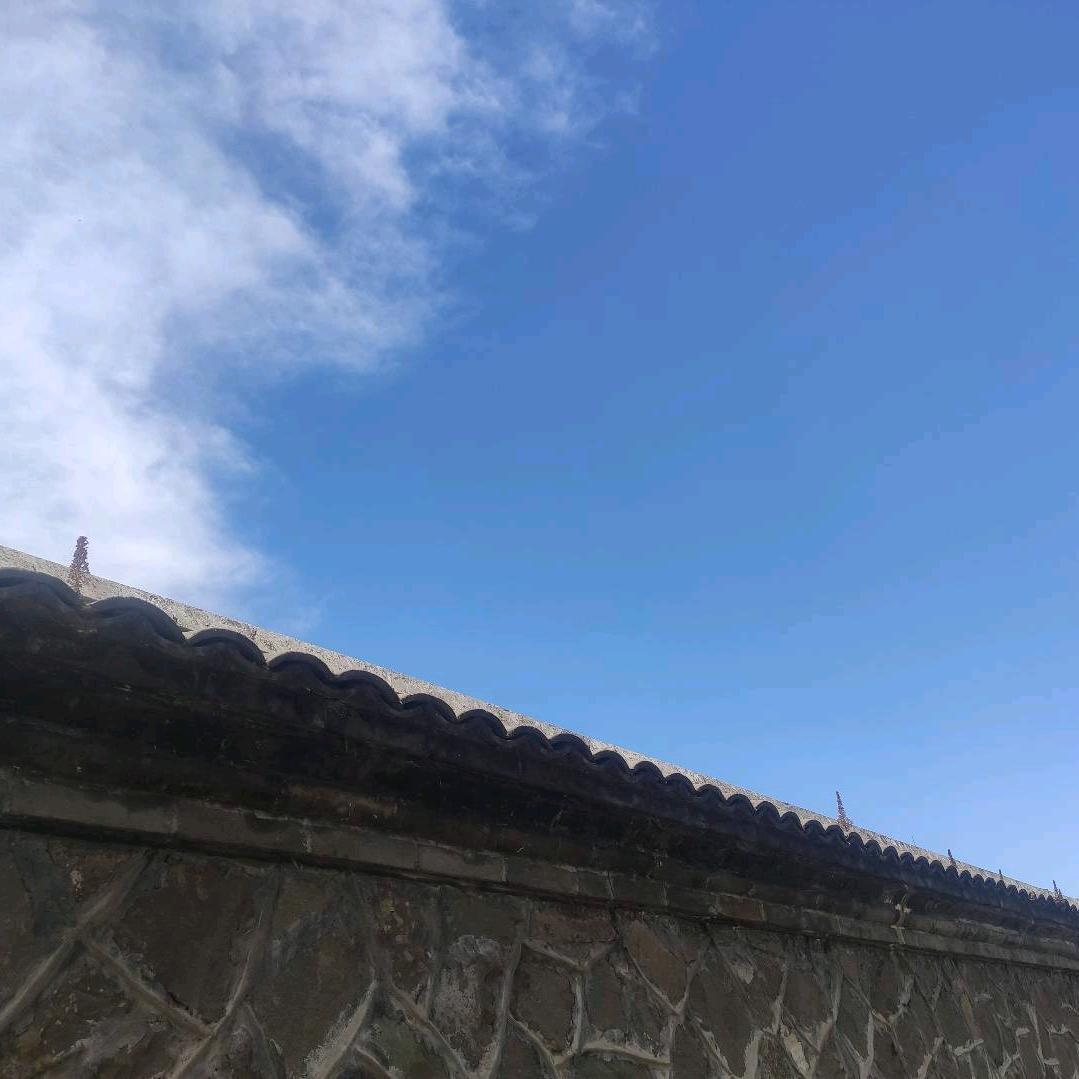 洋洋洋1234