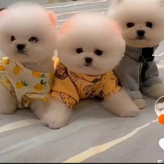 এ᭄大海aaོꦿృ༊