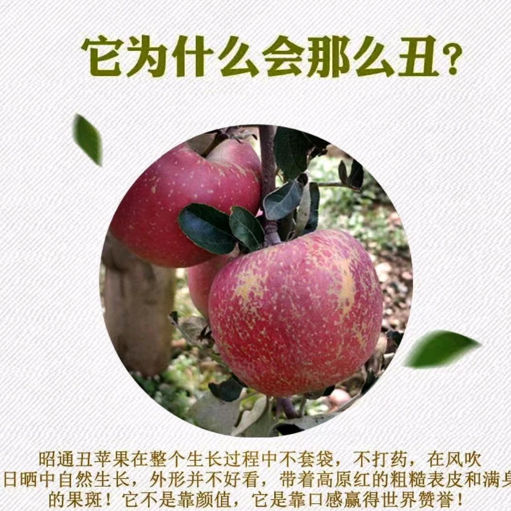 家电批发（昭通）