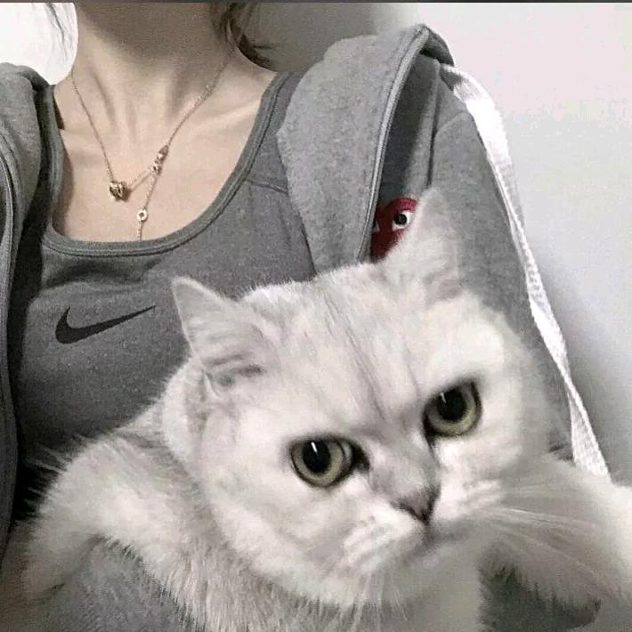 心 月 • 美 学🍃周周呀