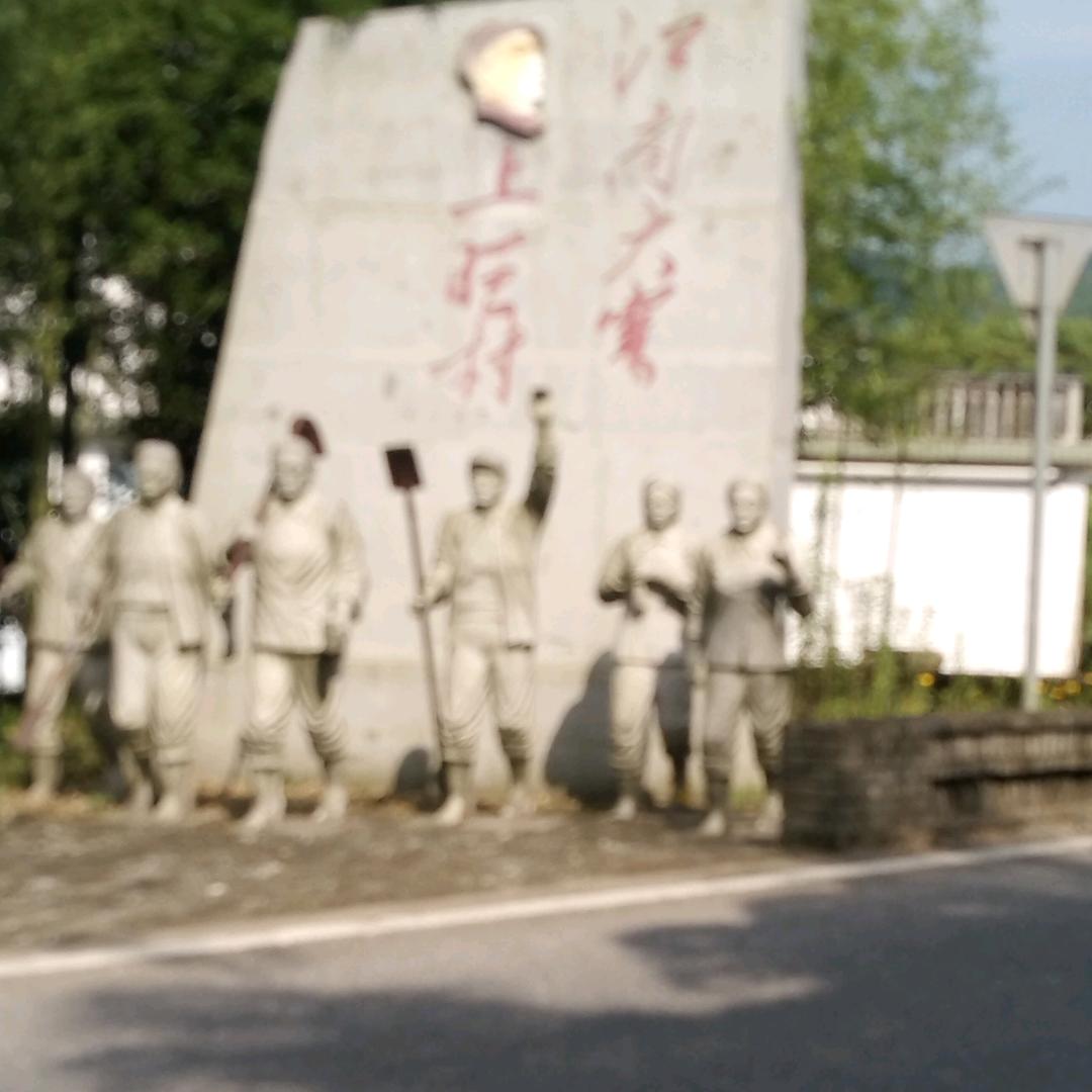 颀颀向荣