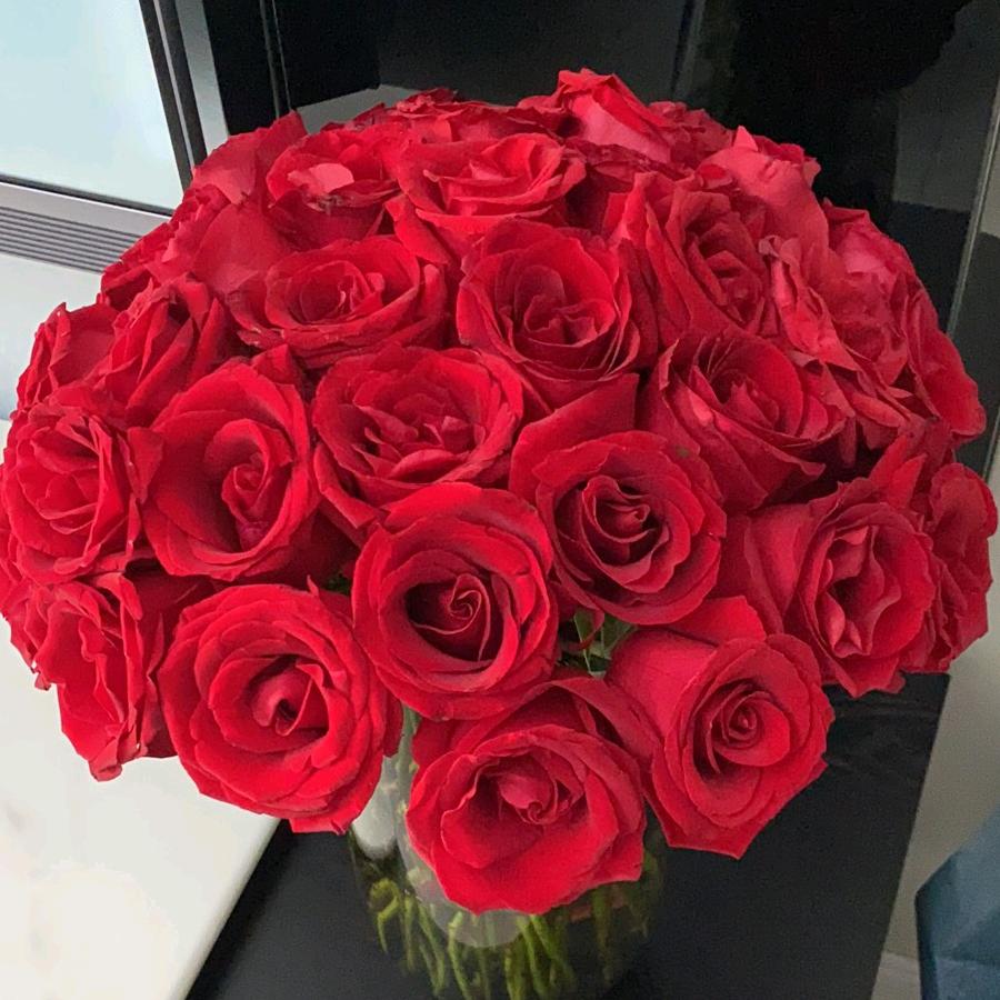 用户3933345161294开心每一天