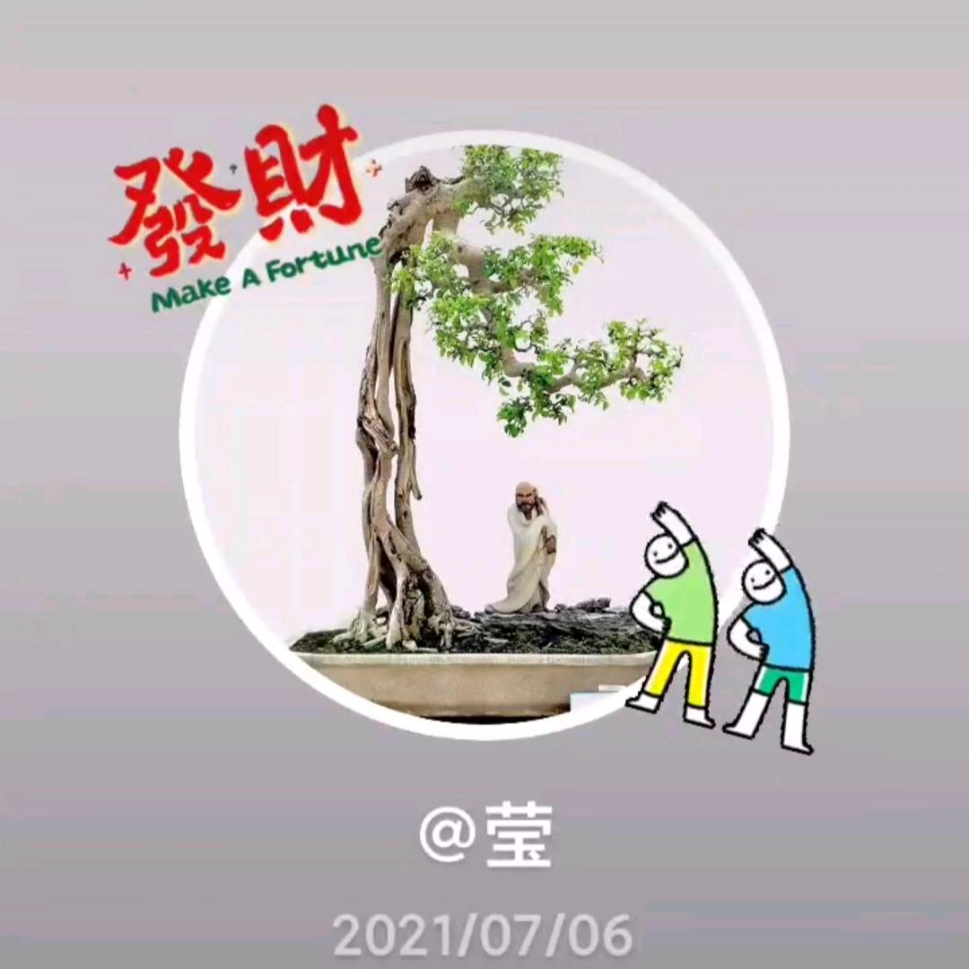 莹