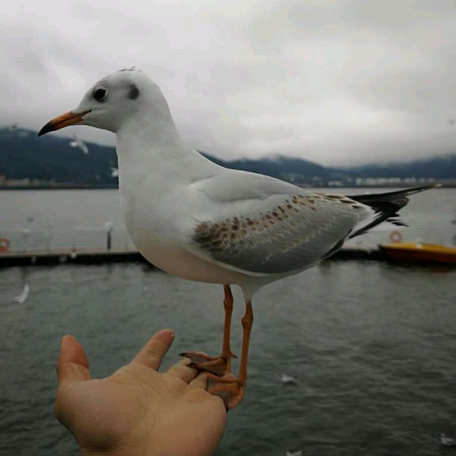 我是海，任你浪