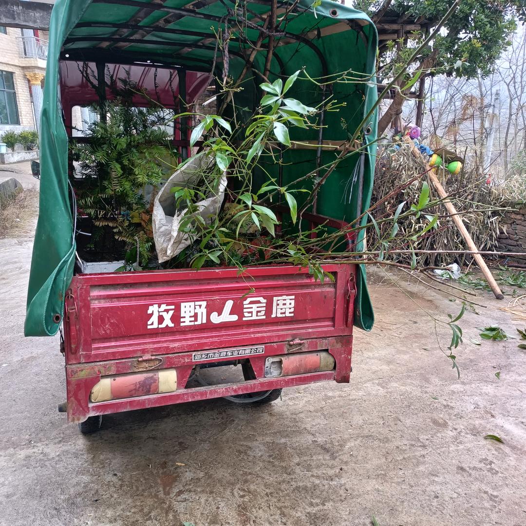 幸福吉祥