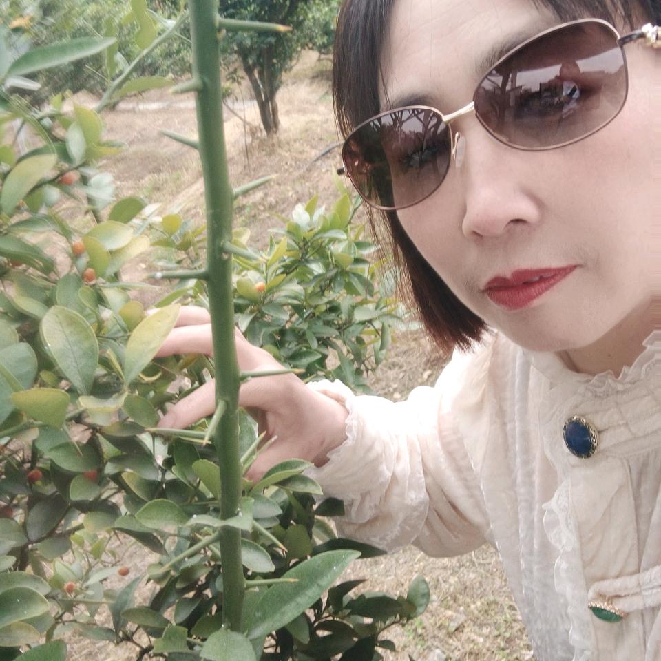 吴亚芬
