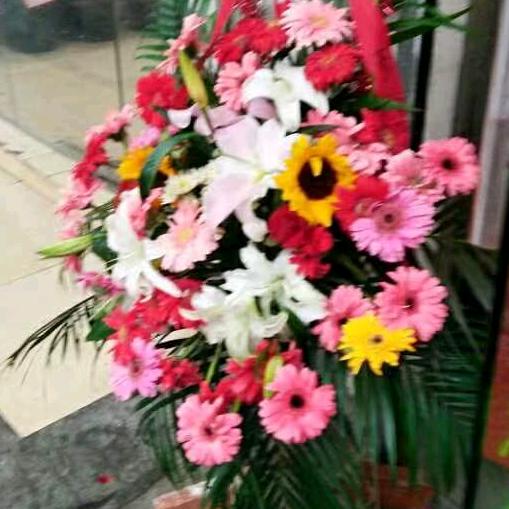 幸福平安每一天