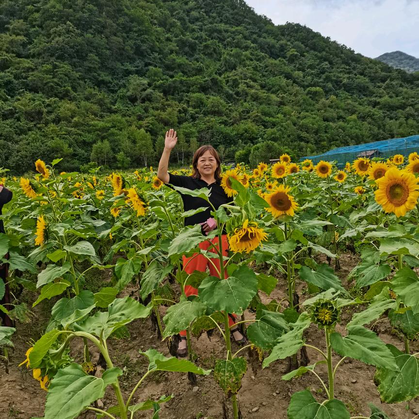 俏婆娘的百姓生活