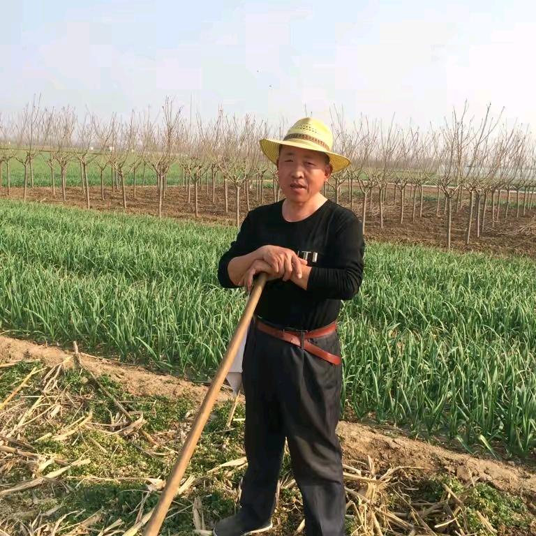 普通社员jiachangcai526