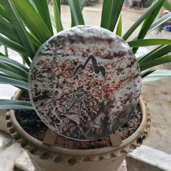 一个爱喝茶的人