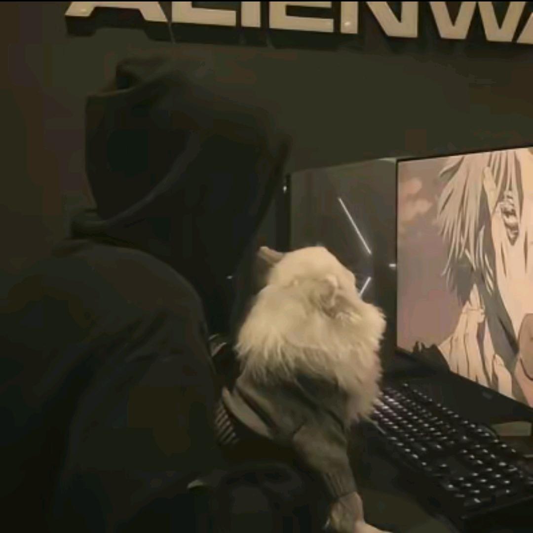 卡皮巴拉大王丶