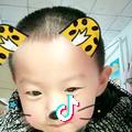 龙