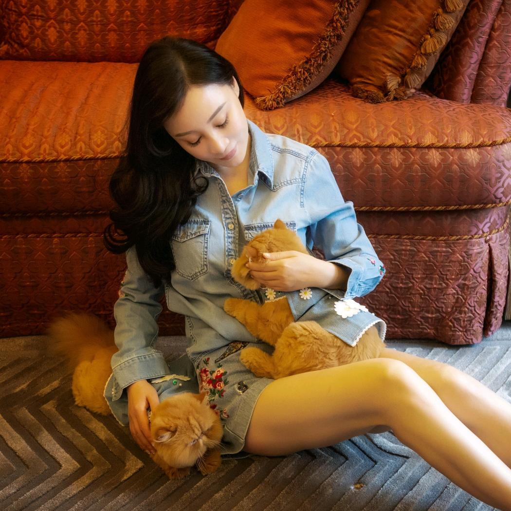 阿福🐱元宝
