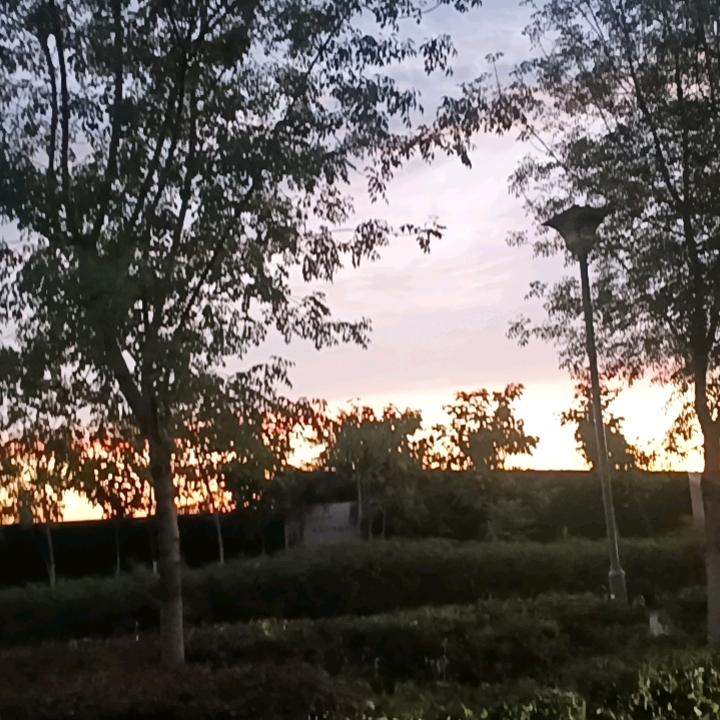 如果你也听说td