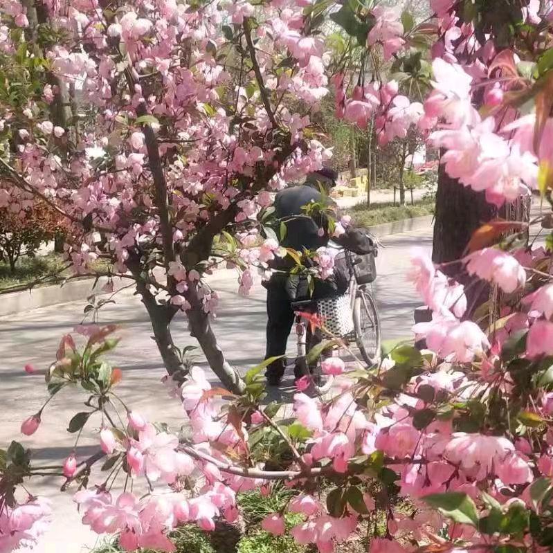 平凡人生