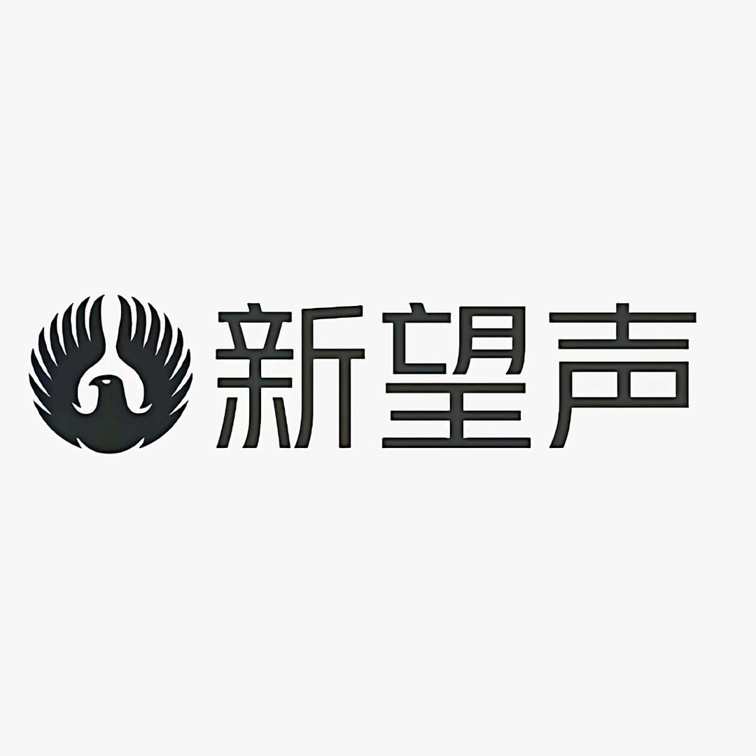 望声科技（深圳）有限公司