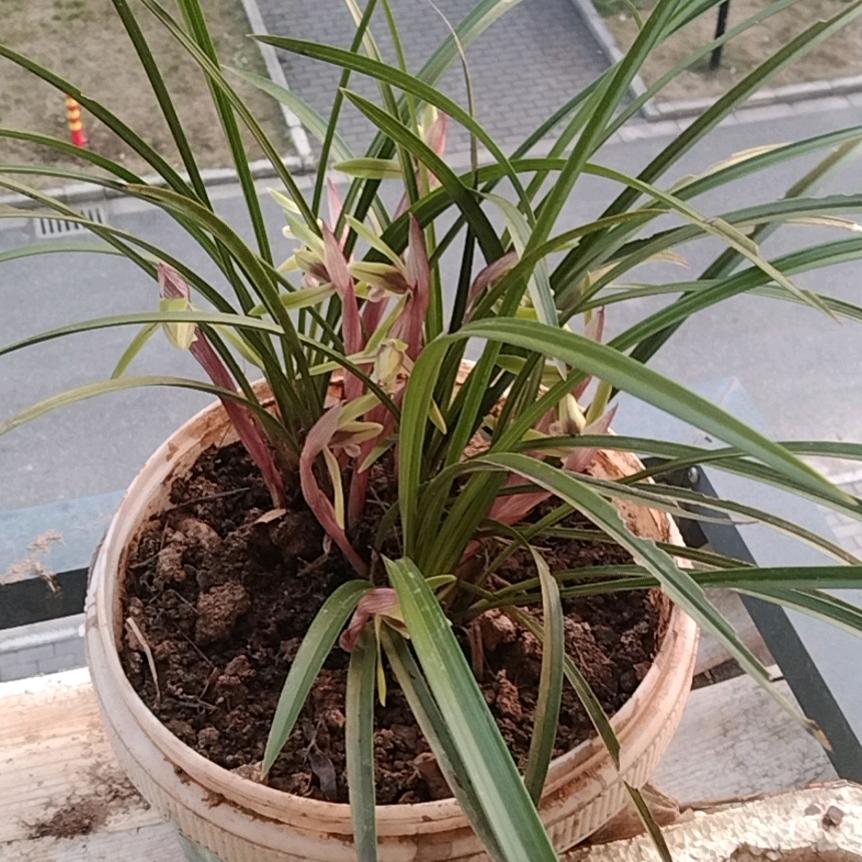 拼搏
